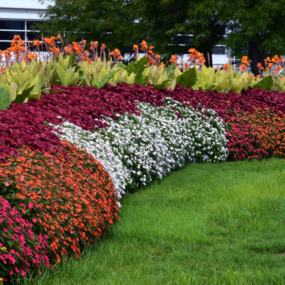 Cottage Farms Direct